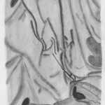 drawing1_midterm_portfolios (110 of 120)