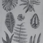 drawing1_final_portfolios (100 of 134)