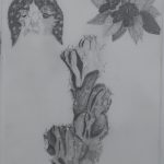 drawing1_final_portfolios (109 of 134)