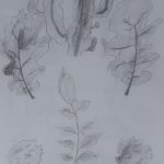 drawing1_final_portfolios (115 of 134)