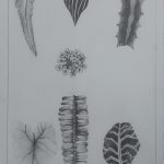 drawing1_final_portfolios (124 of 134)