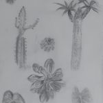 drawing1_final_portfolios (2 of 134)