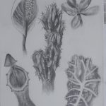 drawing1_final_portfolios (28 of 134)