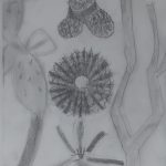 drawing1_final_portfolios (37 of 134)