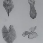 drawing1_final_portfolios (46 of 134)
