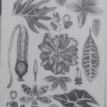 drawing1_final_portfolios (64 of 134)