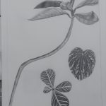 drawing1_final_portfolios (73 of 134)