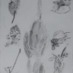 drawing1_final_portfolios (82 of 134)