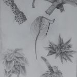 drawing1_final_portfolios (91 of 134)