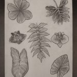 IMG_20210513_092911582