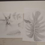 IMG_20210513_093208562