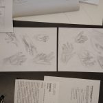 IMG_20210513_093227344