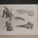 IMG_20210513_093505507