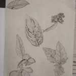 IMG_20210513_093727296