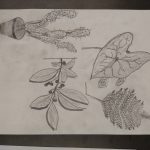 IMG_20210513_093926647