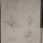 IMG_20210513_095946134