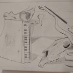 Nick-5