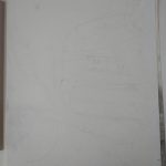 IMG_20230308_100346518