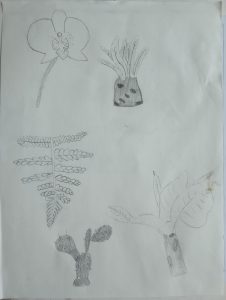 IMG_20230427_090257785