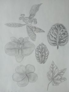 IMG_20230427_090433469