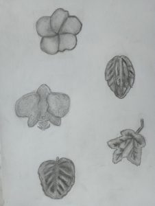 IMG_20230427_091011384
