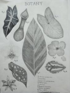 IMG_20230427_091153269