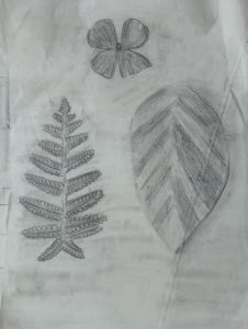 IMG_20230427_091522734