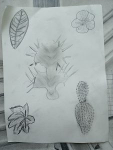 IMG_20230427_091922766