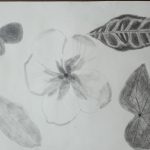 IMG_20230427_085542611