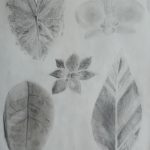 IMG_20230427_085814931