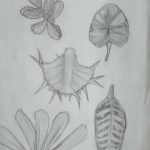 IMG_20230427_090015516