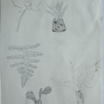 IMG_20230427_090257785