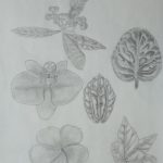 IMG_20230427_090433469