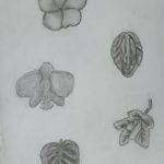IMG_20230427_091011384