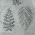 IMG_20230427_091522734
