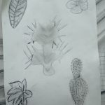 IMG_20230427_091922766