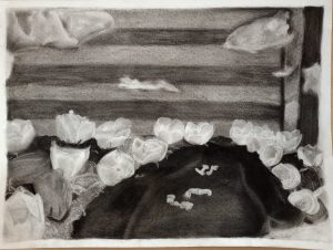 IMG_20231006_104415592