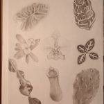 IMG_20231205_084948000