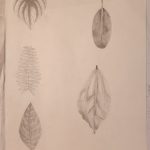 IMG_20231205_085654844