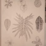 IMG_20231205_090104464
