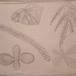 IMG_20231205_090323426