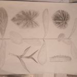 IMG_20231205_090641859