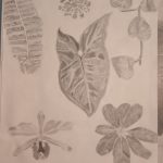 IMG_20231205_090850247