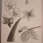 IMG_20231205_091412808