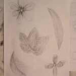 IMG_20231205_092325311
