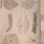 IMG_20231205_092454281