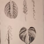 IMG_20231205_092603561
