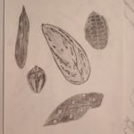 IMG_20231205_092731746