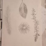 IMG_20231205_092840433