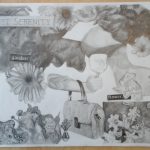 IMG_20250306_083811071